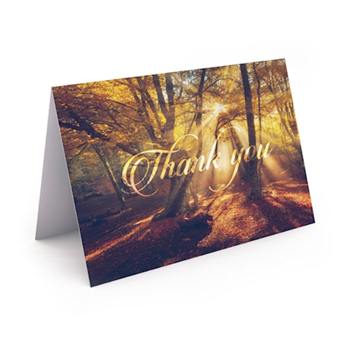 Picture of Ray Of Light Thank You Card