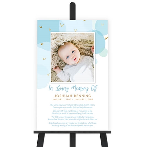 Show details for Copy of Baby Boy Poster in use by Devia