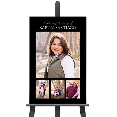 Show details for Collage Poster #8