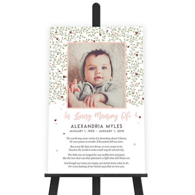 Show details for Baby Girl Poster